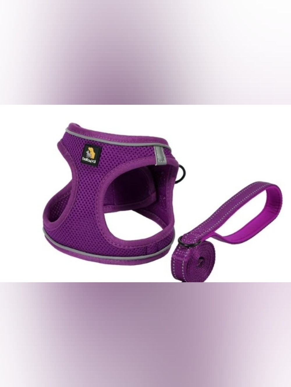 BELLA & PAL Puppy Harness and Leash Set Size XS